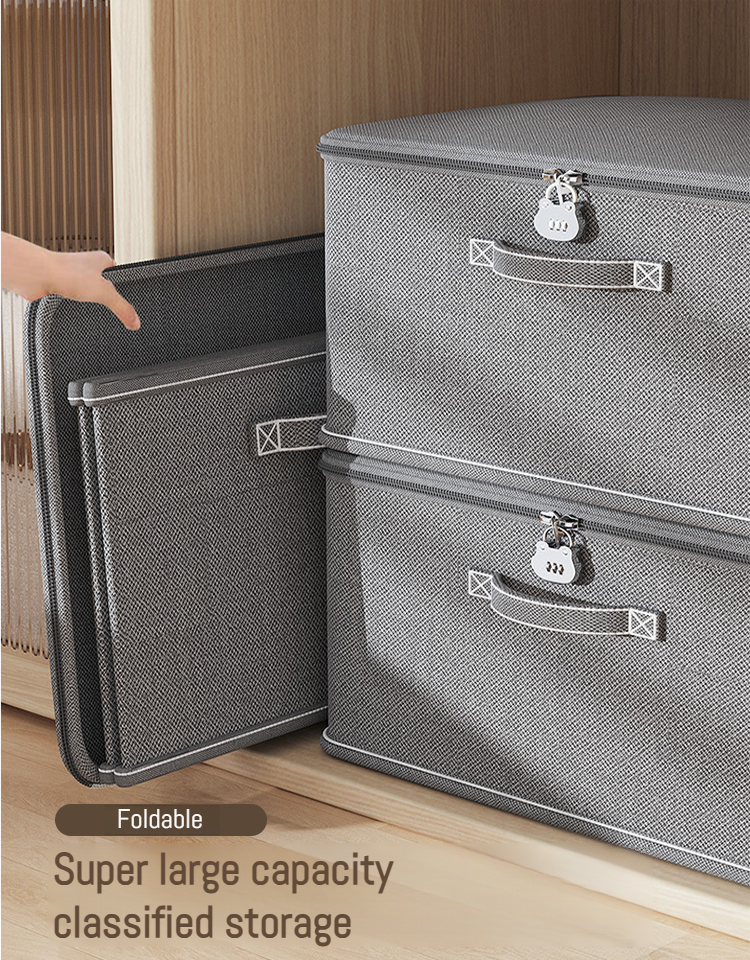 TSA Lock Large Capacity Storage Box