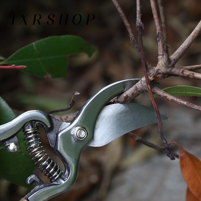 Herramienta profesional para poda de flores y plantas