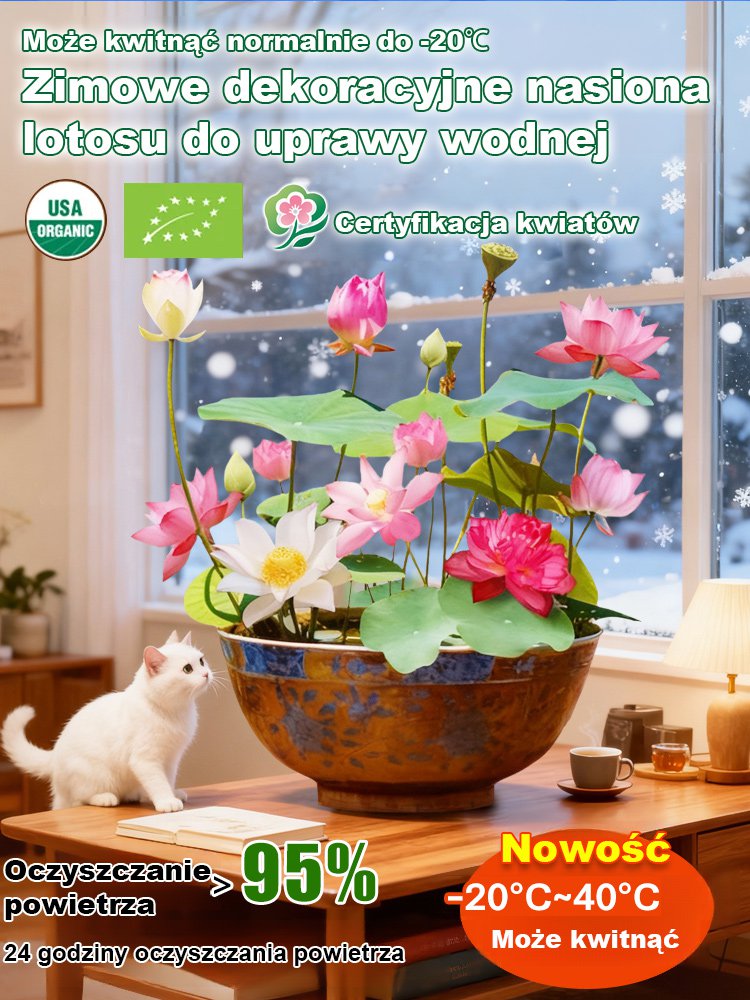 【Może kwitnąć normalnie do -20℃】Zimowe dekoracyjne nasiona lotosu do uprawy wodnej