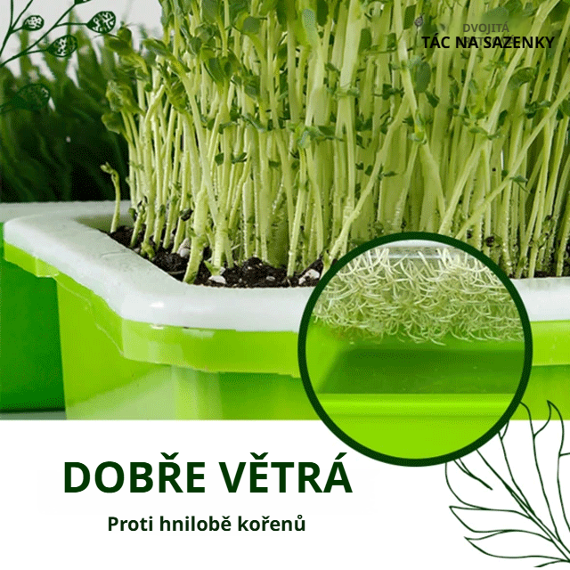 Domácí bezpůdní hydroponický sadbový tác na zeleninu