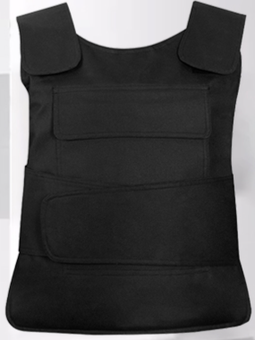 Outdoor Gear Vest