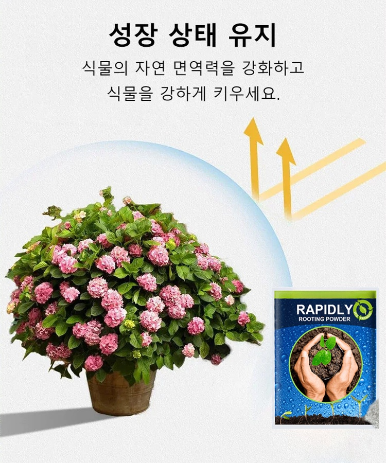 식물 재배 화초 삽목 루팅 파우더 