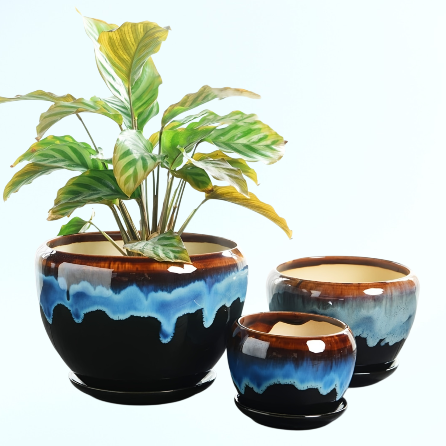 窯変の多肉植物用花器、モダンな家庭園芸用の陶器製大鉢