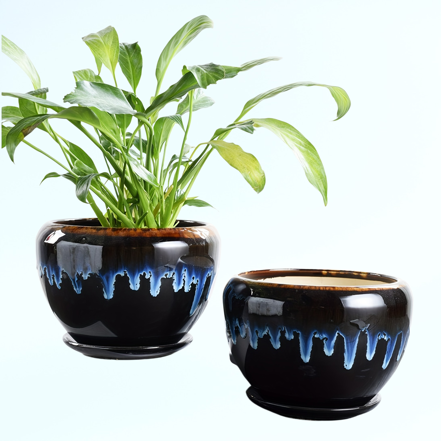 窯変の多肉植物用花器、モダンな家庭園芸用の陶器製大鉢