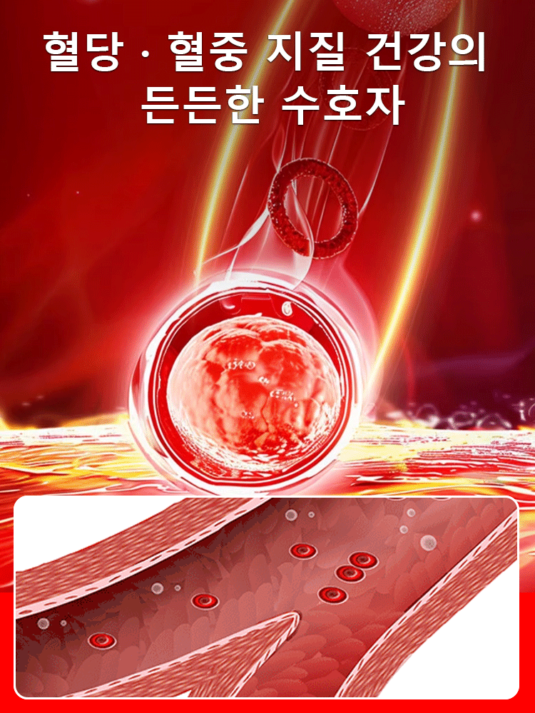 【혈액 순환 개선】은행잎 추출물 영양 보충제