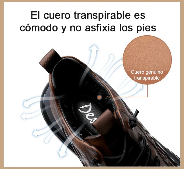 1_13.jpg