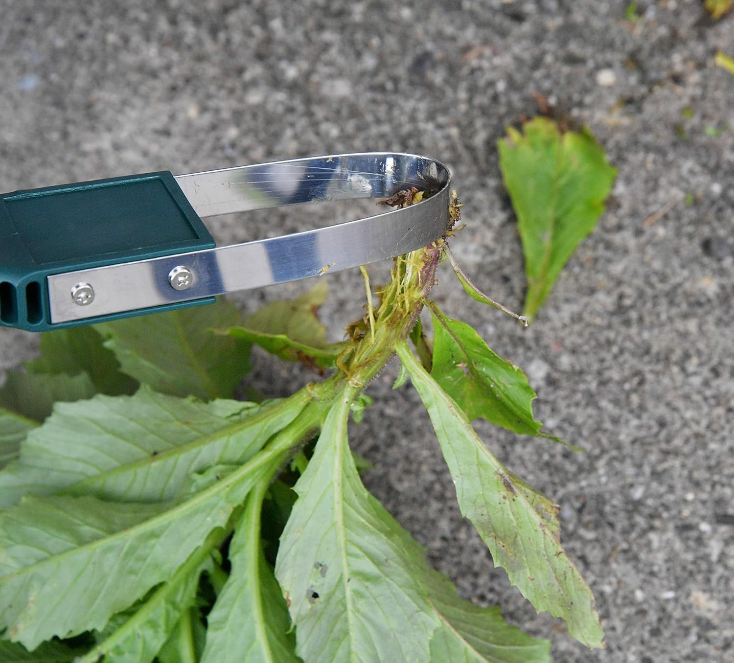 ハンドループ除草機の簡単なお手入れ方法