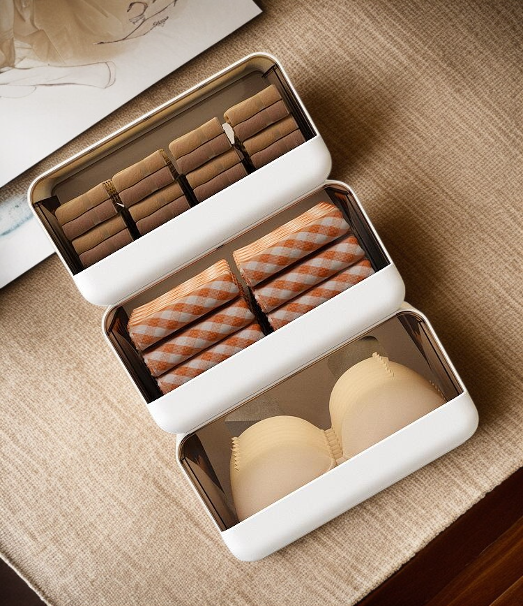 Modern drawer organizer for socks and underwear