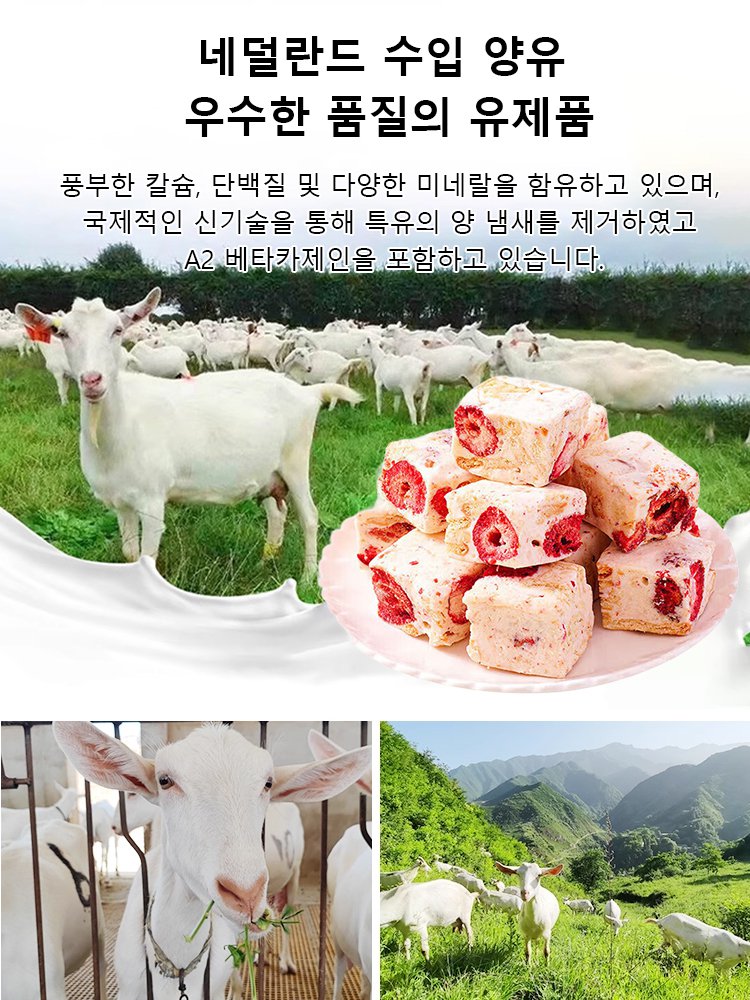 【네덜란드산 염소 우유】딸기 요구르트 사각 쿠키