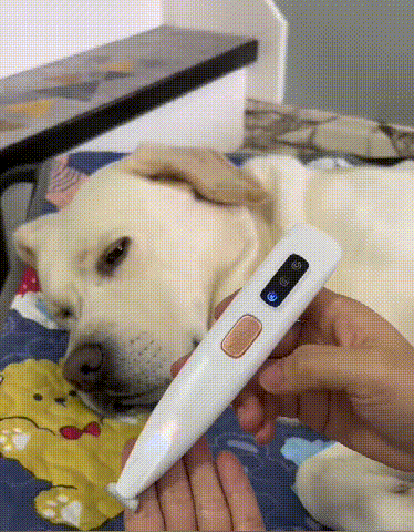 下载 (3).gif
