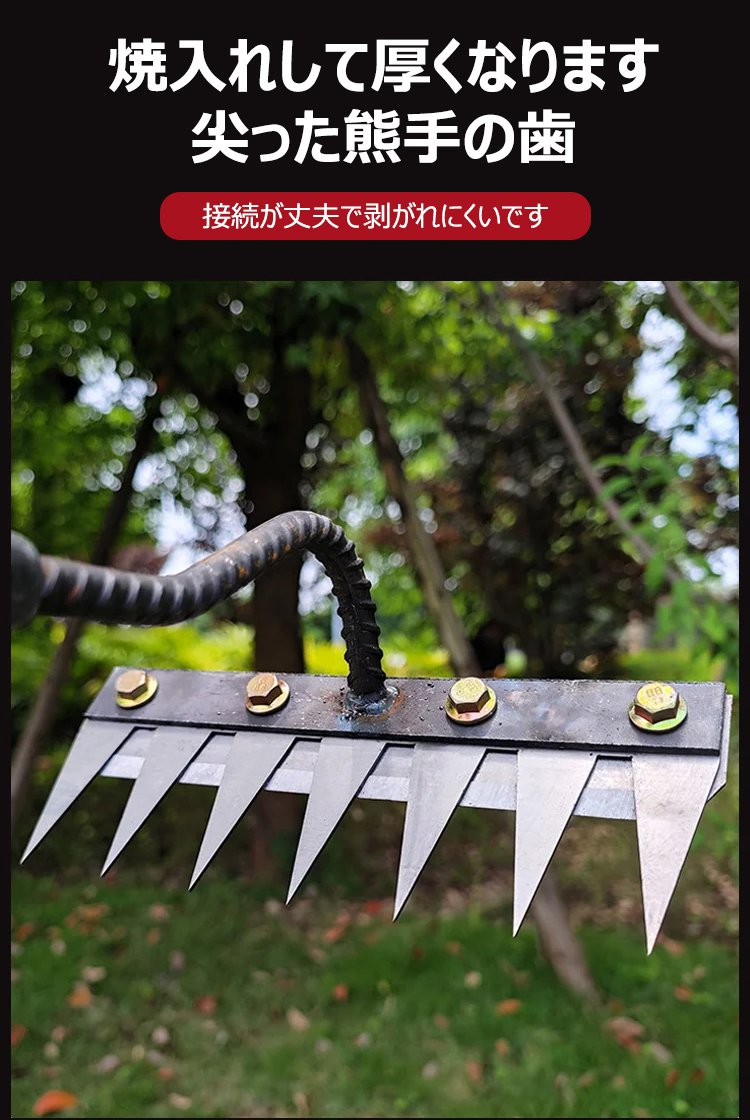 未标题-1_19.jpg