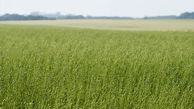 2-3d8ab1fa0fd80fc7d07a8f7176ed1455.gif