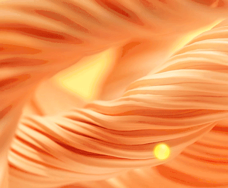 03.gif