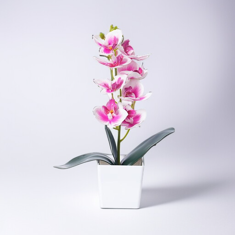 胡蝶蘭造花盆栽