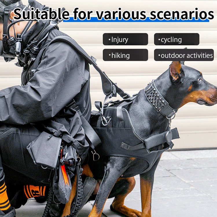 Giipet - Pet Carrier Backpack,Perfect for Traveling, Hospital Visits, Disaster Evacuation, Outings,