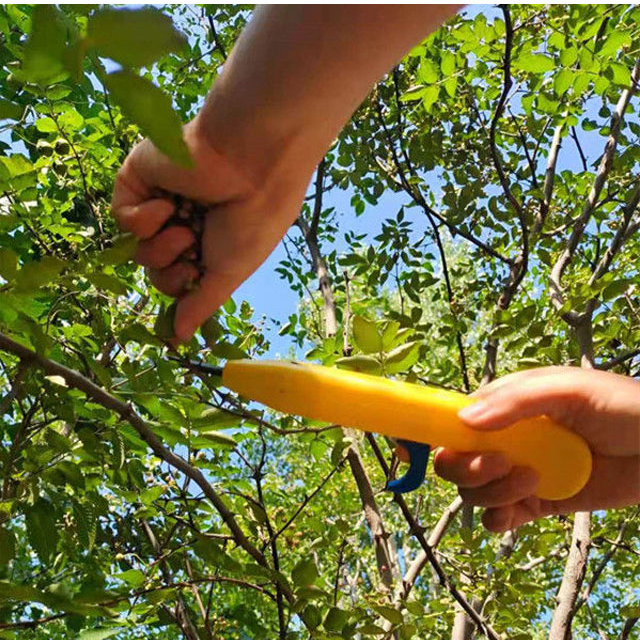 Neškodný nástroj na sběr ovoce pro zahradníky