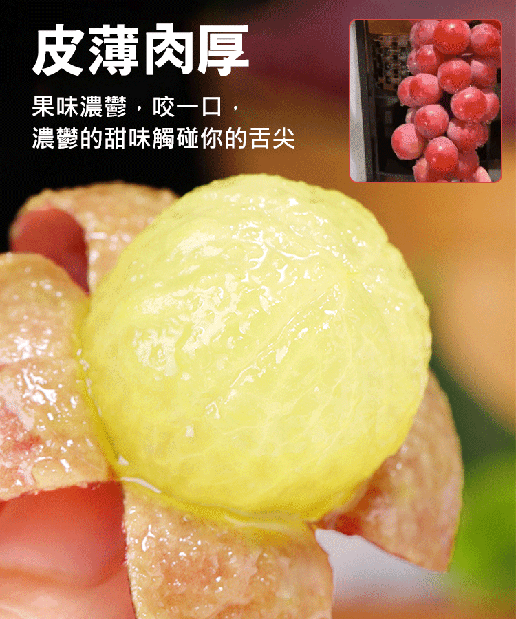 【自帶酒香氣】妮娜皇后葡萄種子