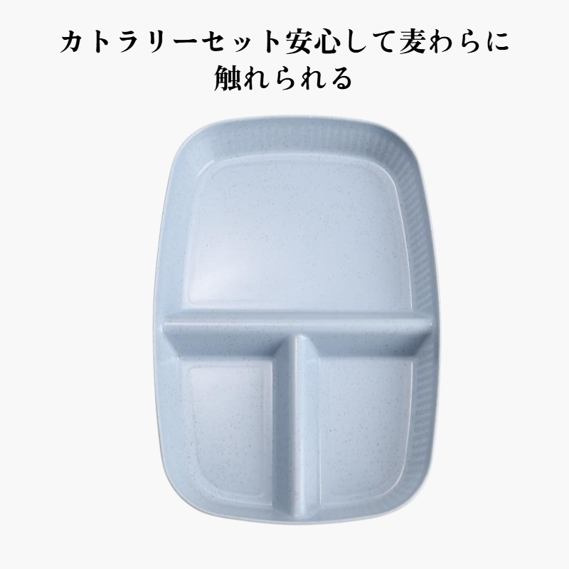 家庭用長方形サービングプレート