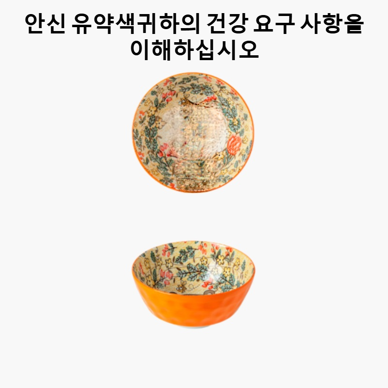 도자기 그릇, 접시, 젓가락 및 식기류