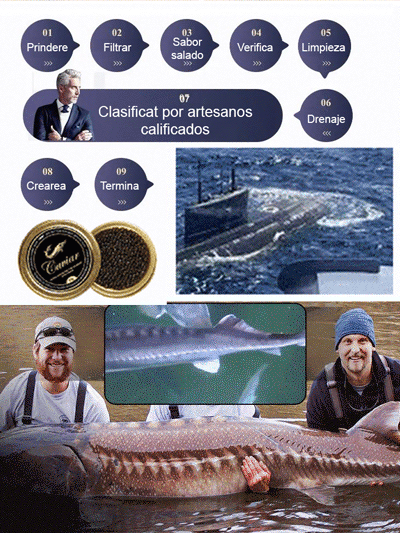 Caviar negro de esturión del mar Caspio importado