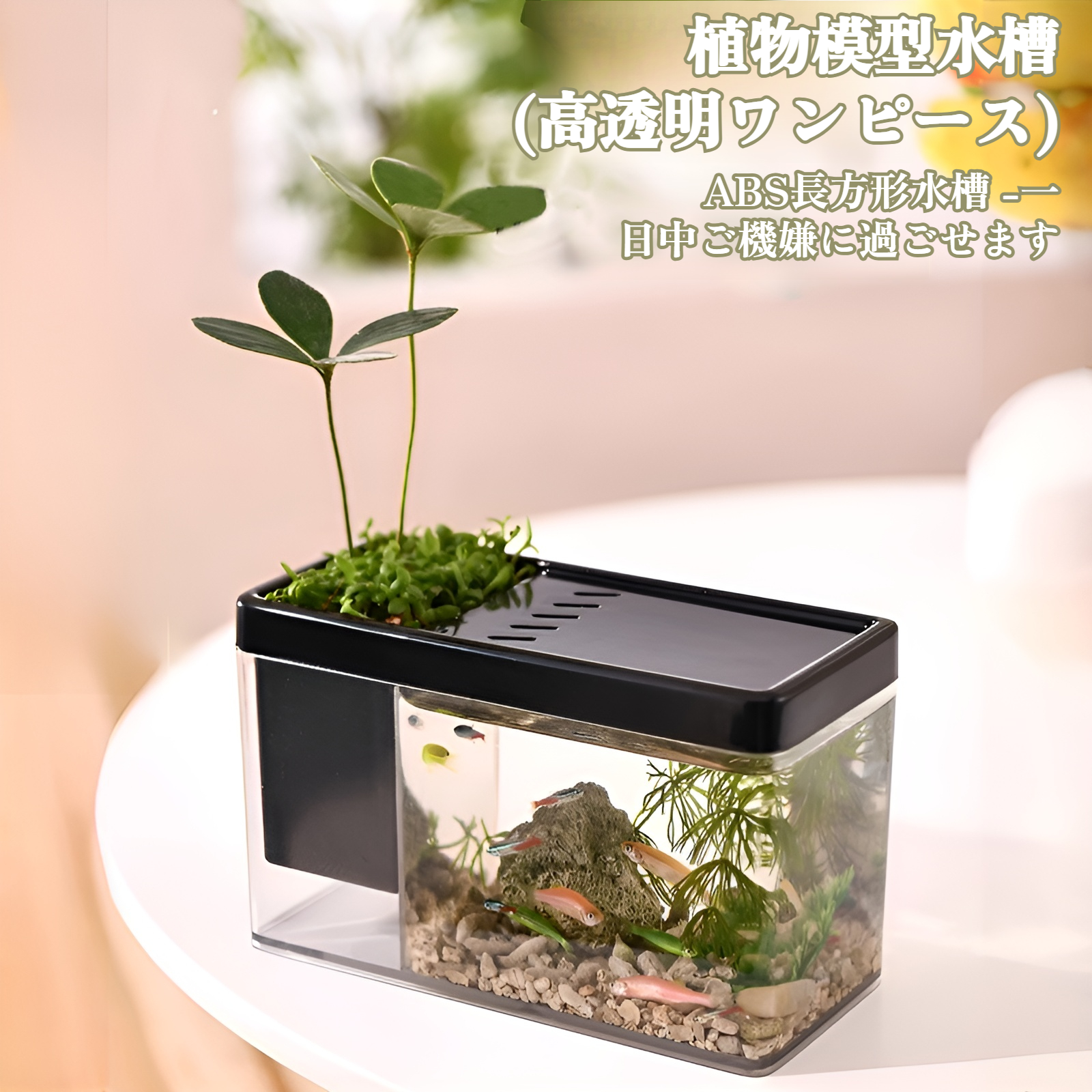 厚くなったガラスの卓上水槽全体フルセット