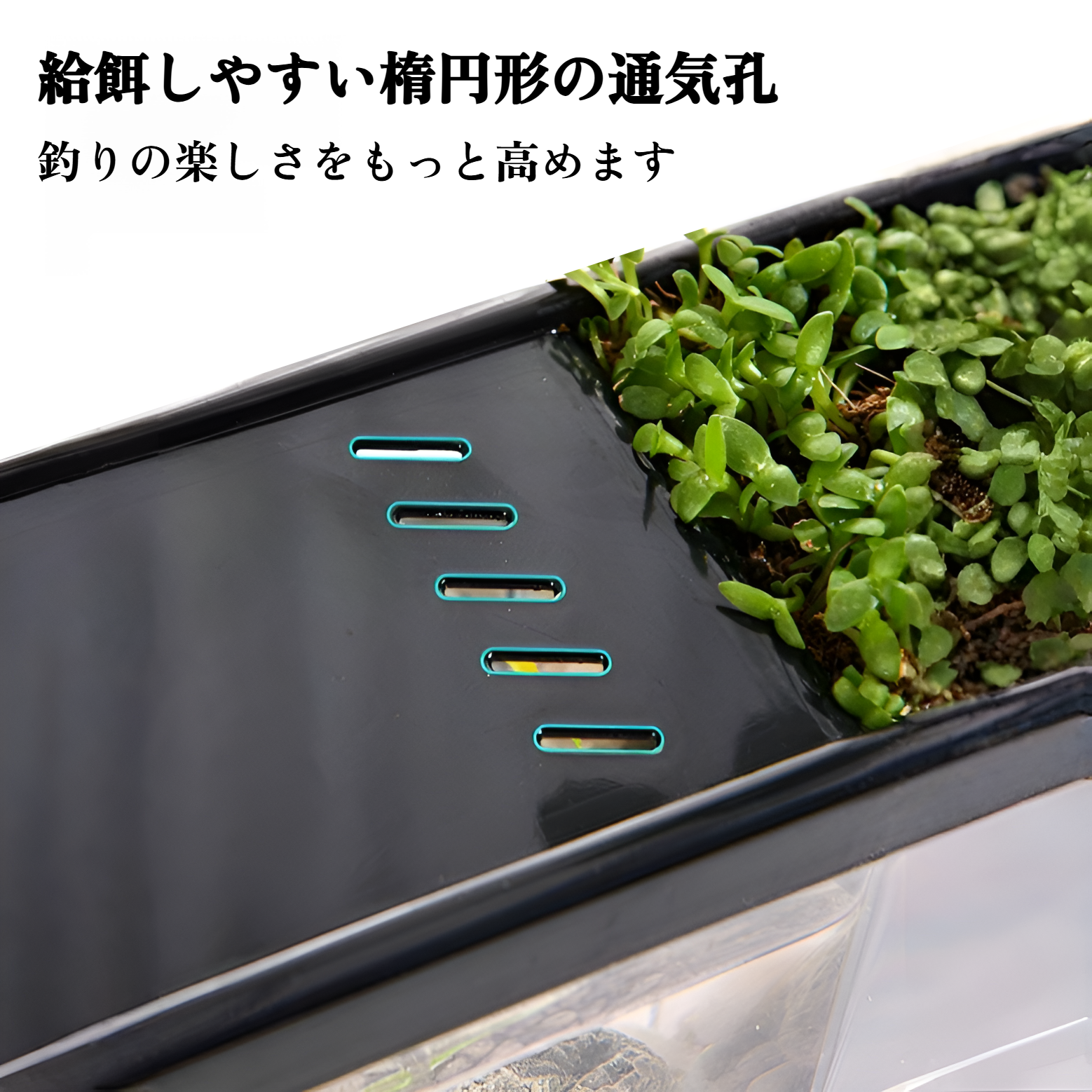 風景フルセットの厚くなったガラスの卓上水槽マイクロ風景緑の植物リビングルームのホームデスクトップ水槽