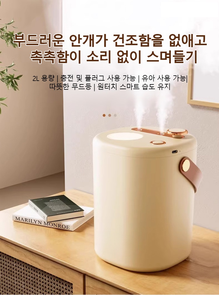 실내 공간에 놓인 이중 분무 가습기