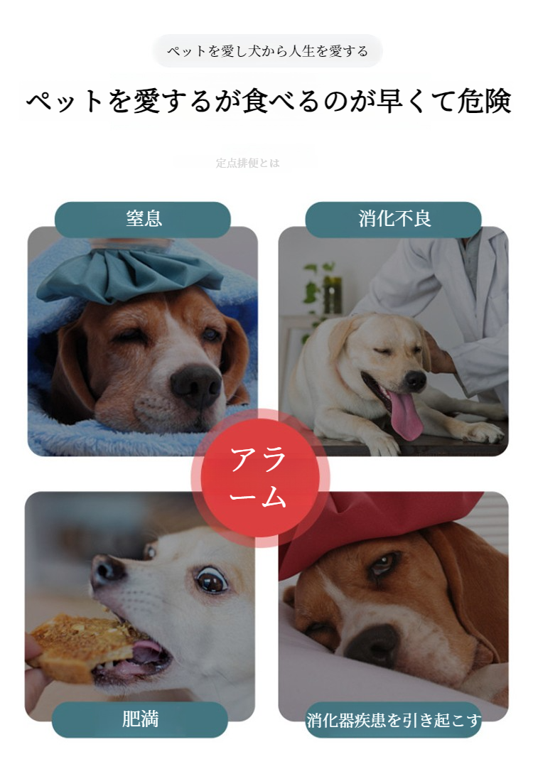 パズル機能付きペット用スローフードボウル