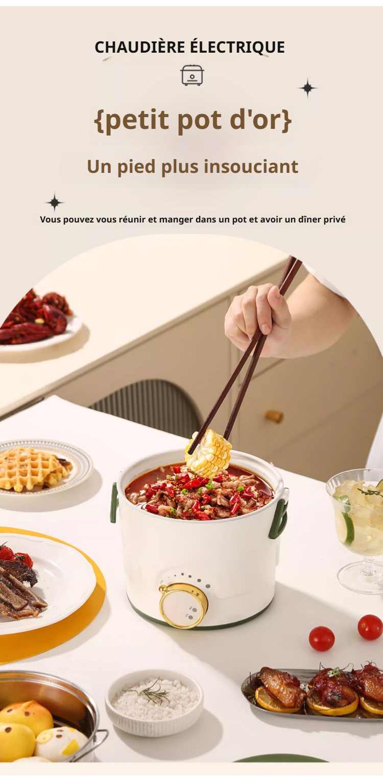 Contrôle de température sur la mini cuisinière électrique