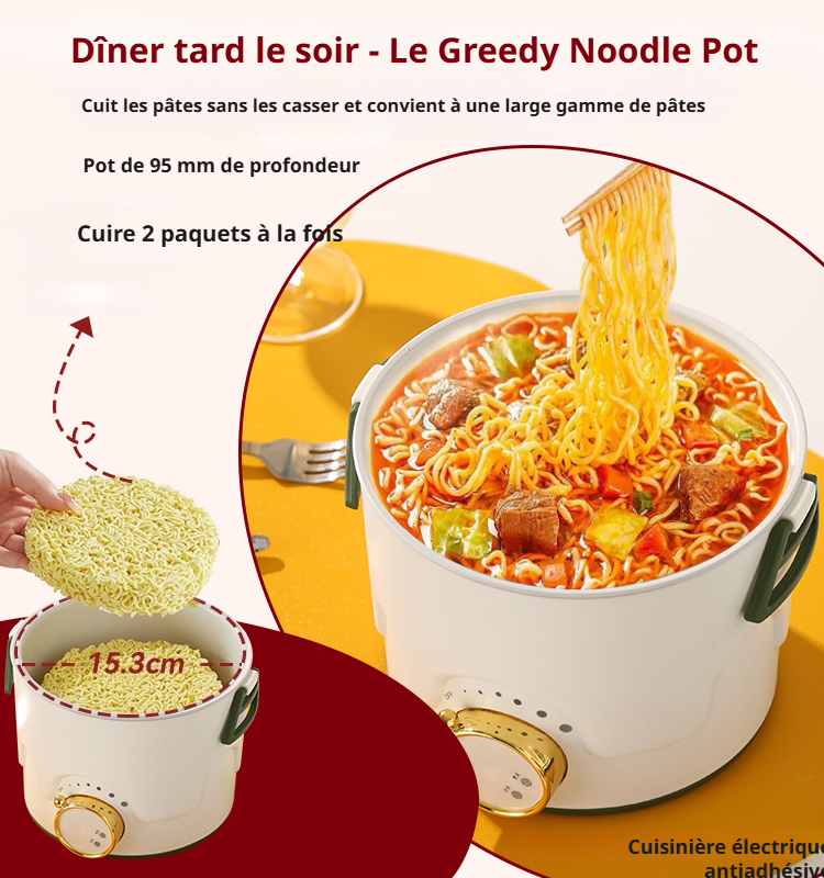 Mini Cuisinière Électrique Multifonction