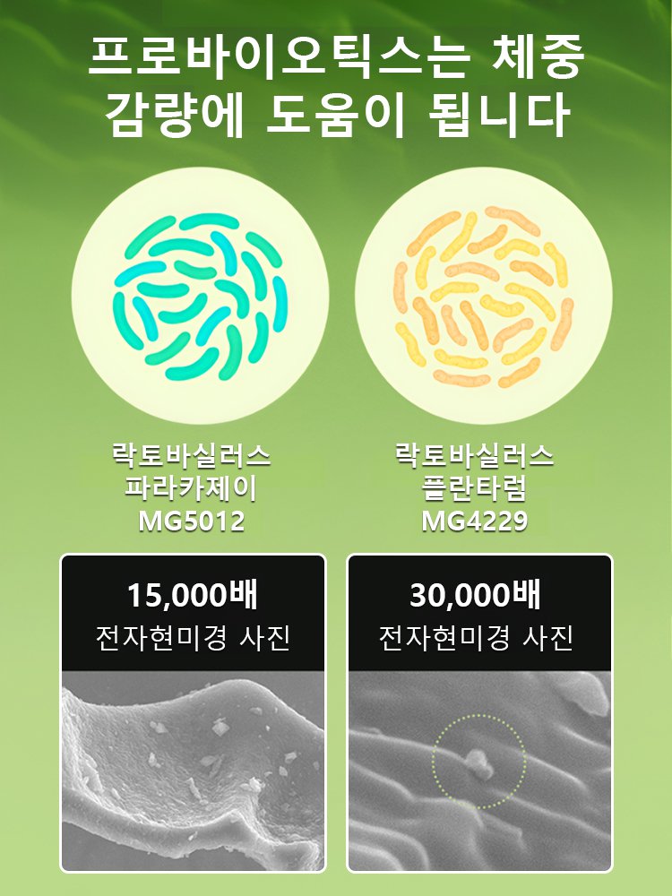  빠른 지방 연소 보디 캡슐