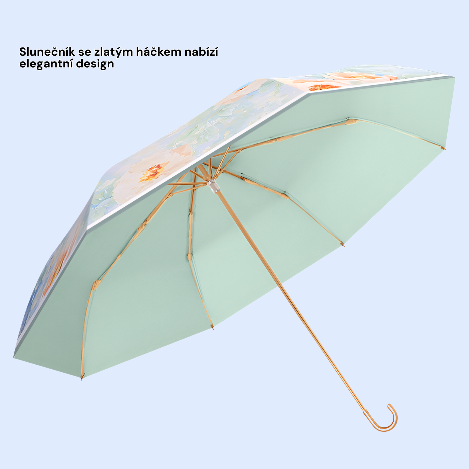 Parasailanty