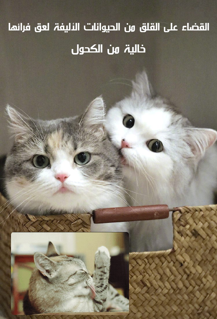 [عبوة واحدة تكفي لتحميم حيوانك الأليف ست مرات]قفازات للحيوانات الأليفة بدون غسيل