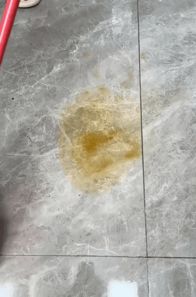 Honeycam 2025-03-25 18-12-38.gif