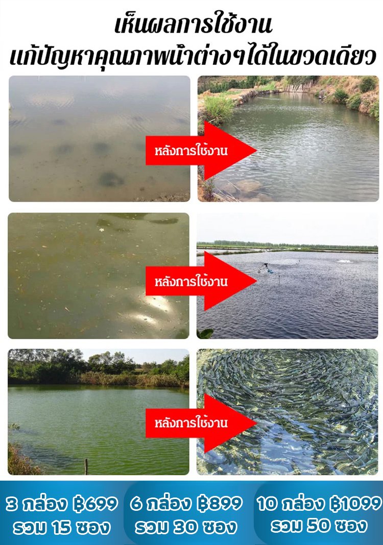 【สำหรับบ่อปลาและตู้ปลา】แร่ธาตุปรับสภาพน้ำ