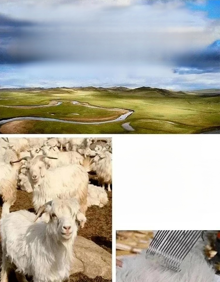 모던 도톰 미디 원피스 니트 세트