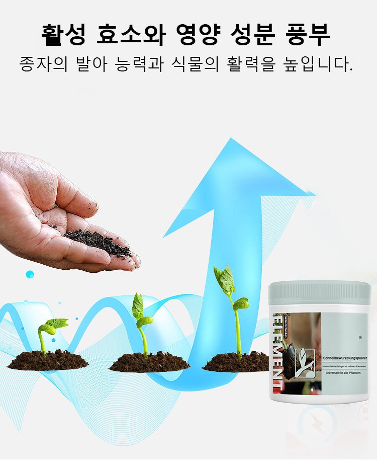 화분에 신속 뿌리발근제 사용하는 장면