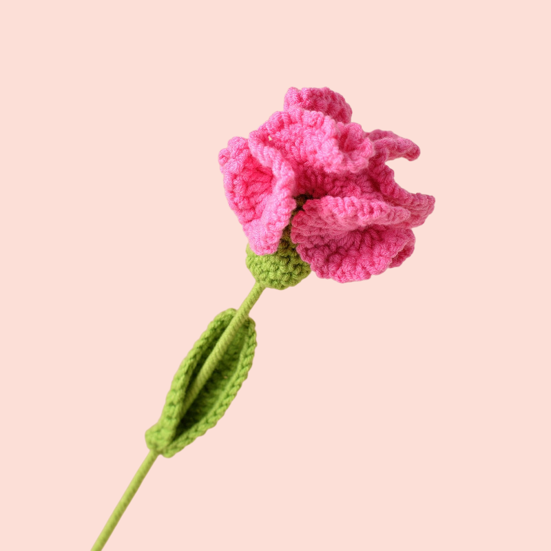 Braided Carnations