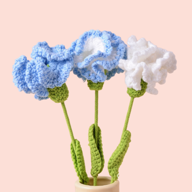 Braided Carnations
