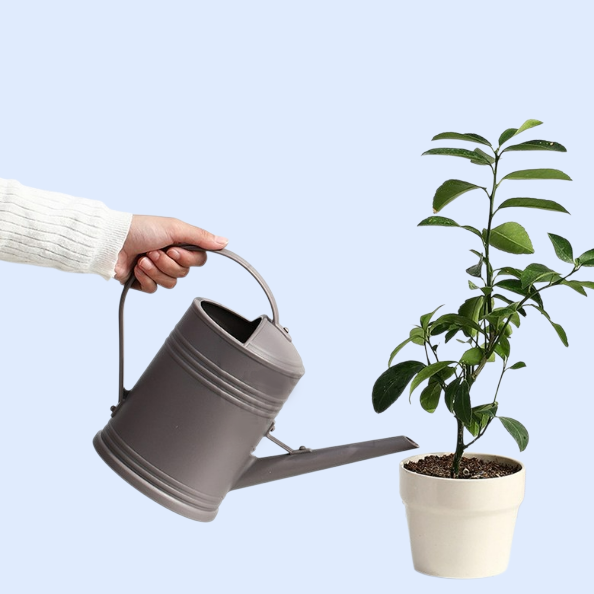 ロングノズルじょうろ