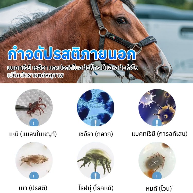 ยากันแมลงสำหรับพืชและสัตว์เลี้ยง