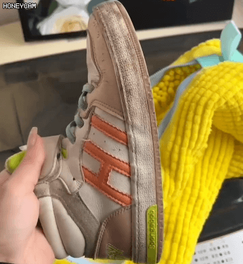 Honeycam 2025-03-03 17-41-01.gif