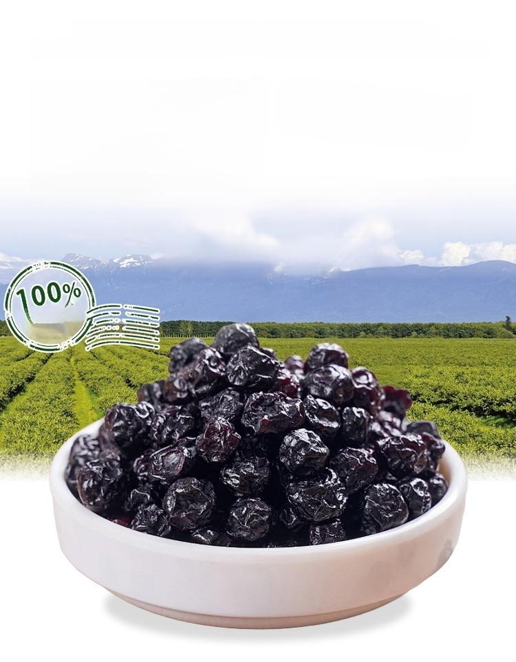 高品質なドライブルーベリーのアップ写真