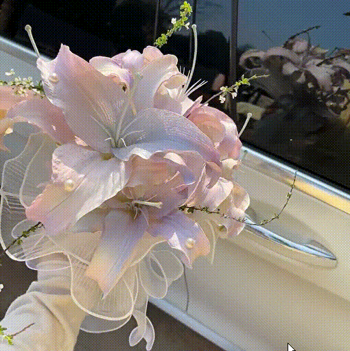 捷克_09.gif