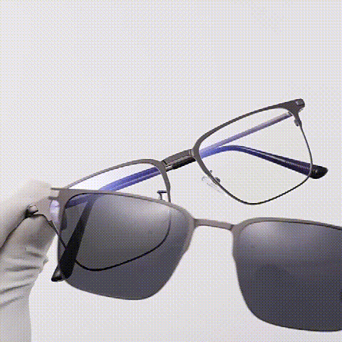 Polarized Sunglasses Magnetic Case