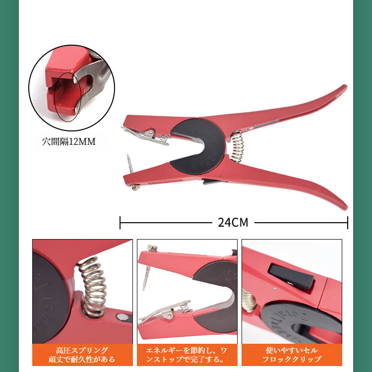 母豚へのイヤータギング施術例