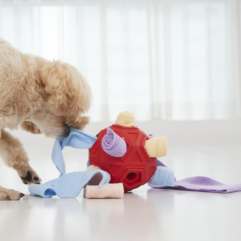 Bissfester Futterball für Haustiere