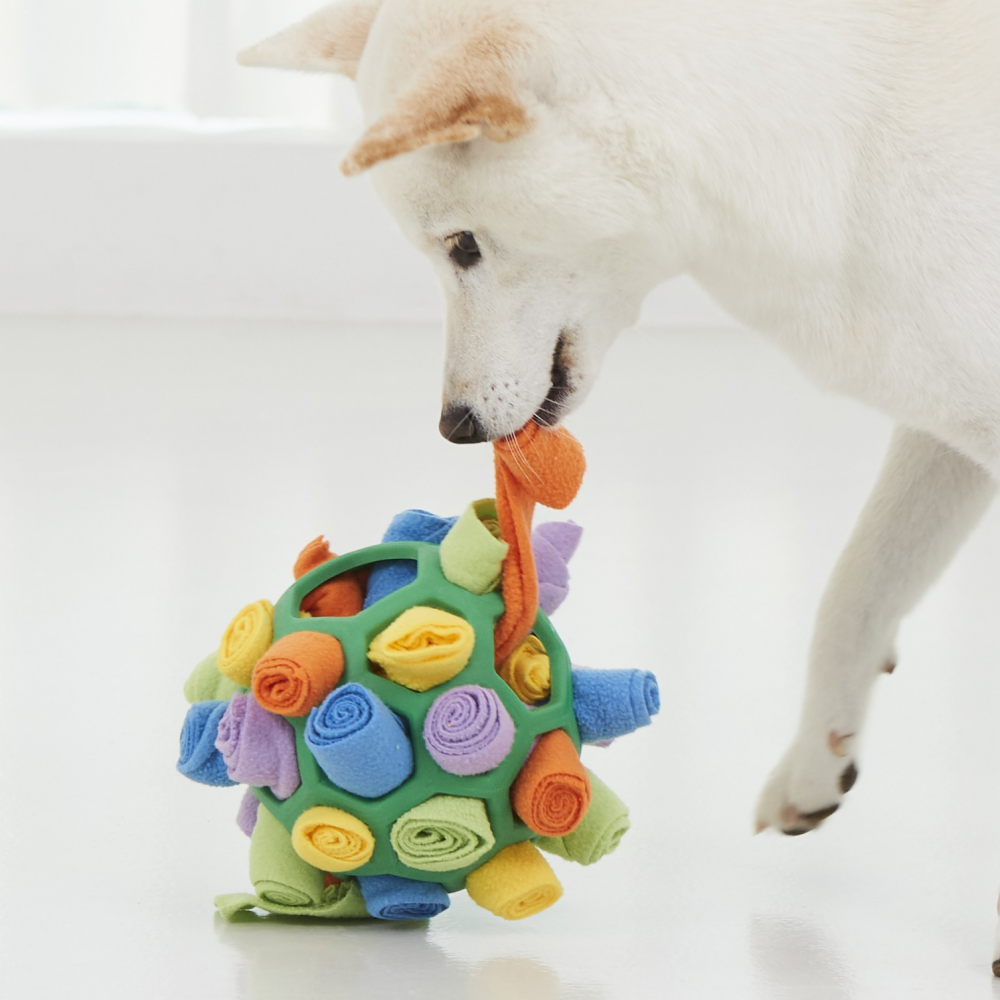 Bissfester Futterball für Haustiere