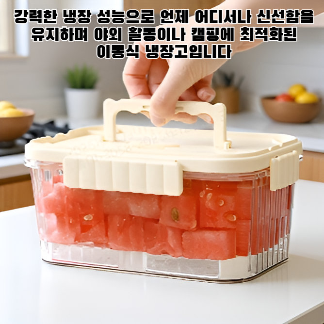 【휴대용 이동식 냉장고】자체 냉장 보관함