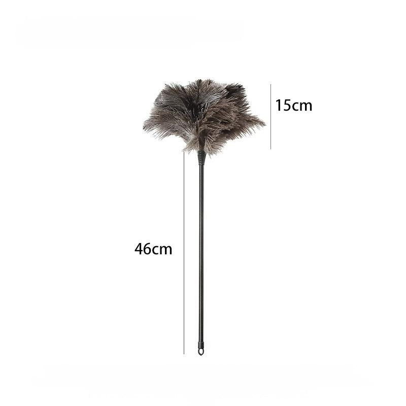 Staubwedel aus Straußenfedern